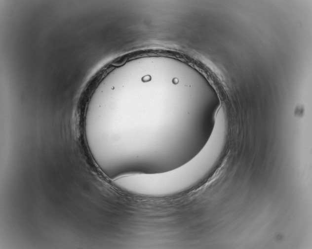 X0000103281310200809191757