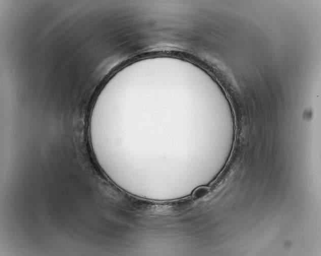 X0000103281313200809191757