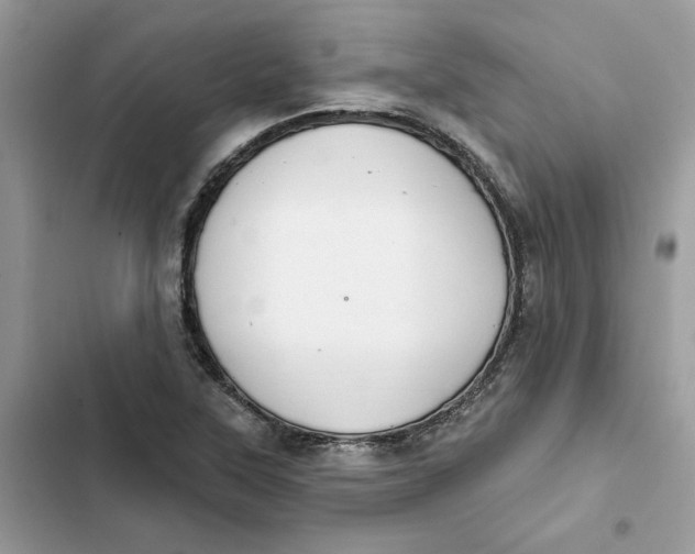 X0000103281315200809191757