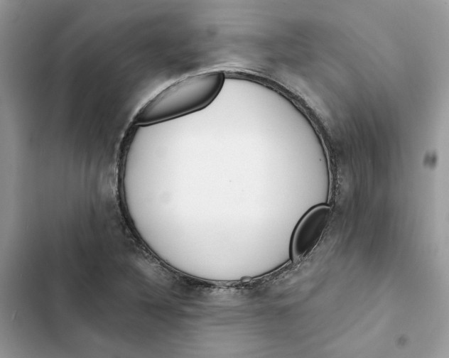 X0000103281316200809191757