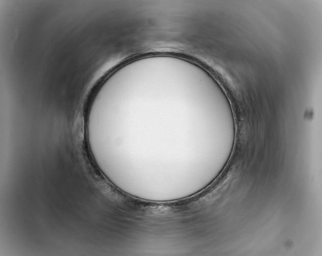 X0000103281317200809191757