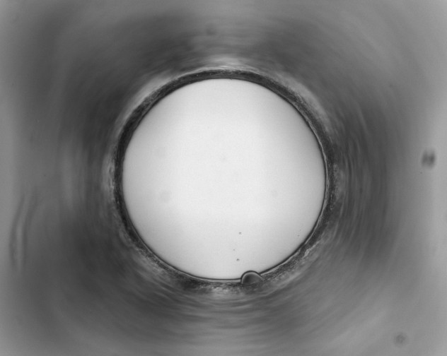 X0000103281318200809191757