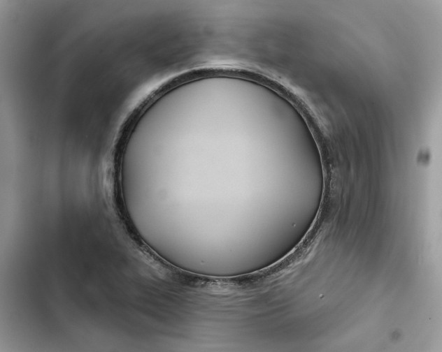 X0000103281319200809191757