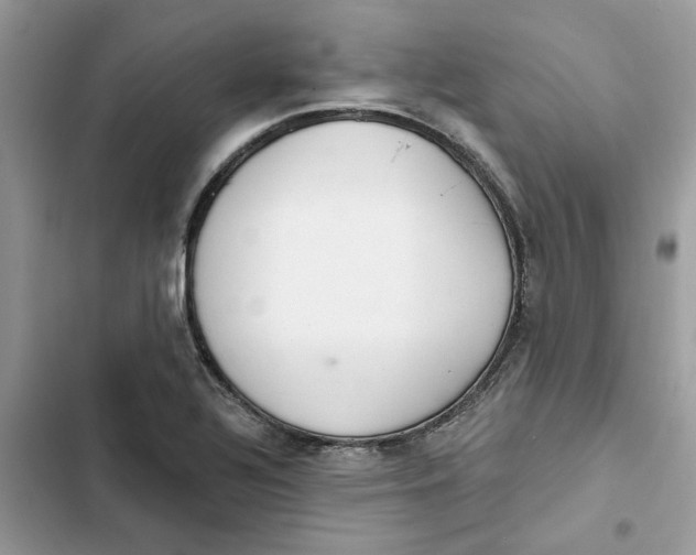 X0000103281320200809191757