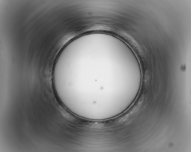 X0000103281321200809191757