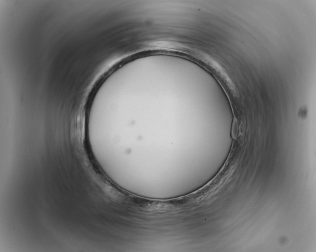 X0000103281323200809191757