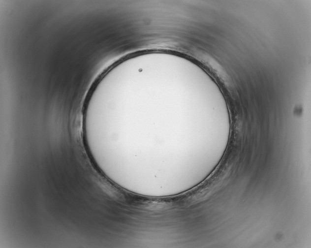 X0000103281324200809191757