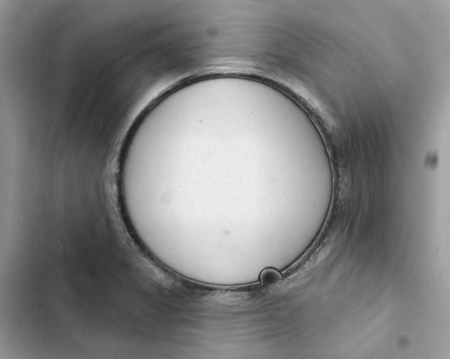 X0000103281325200809191757