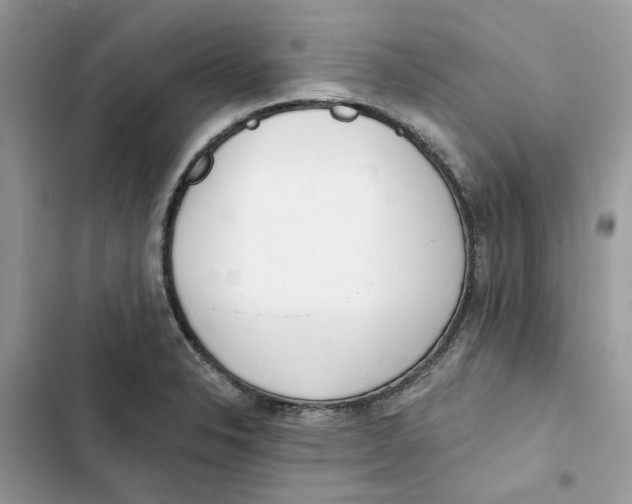 X0000103281326200809191757