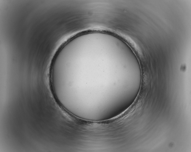 X0000103281327200809191757