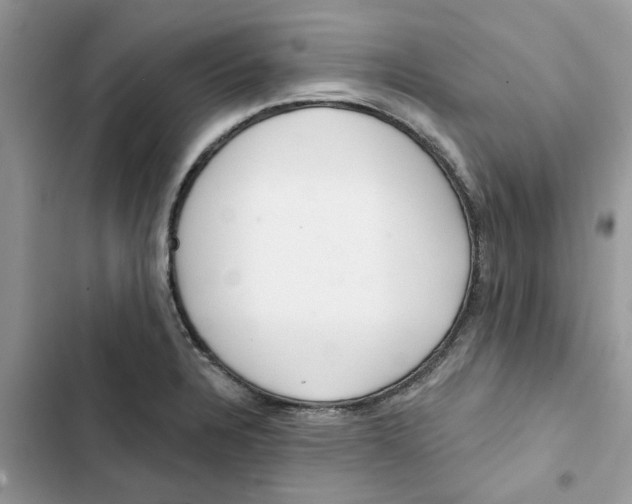 X0000103281328200809191757