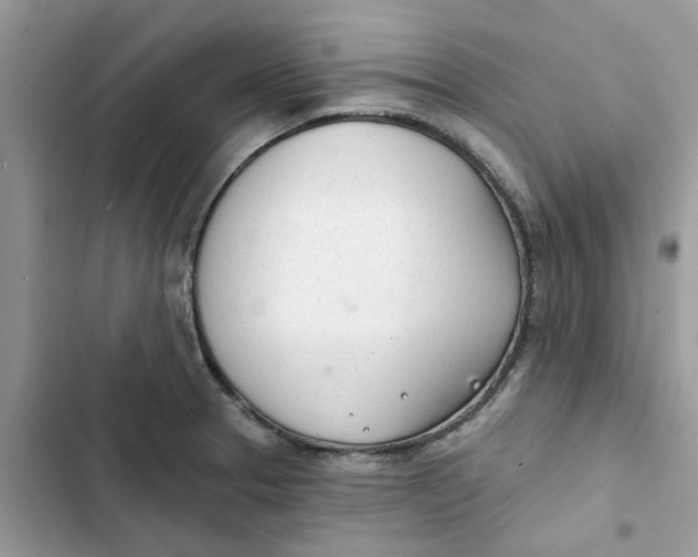 X0000103281329200809191757