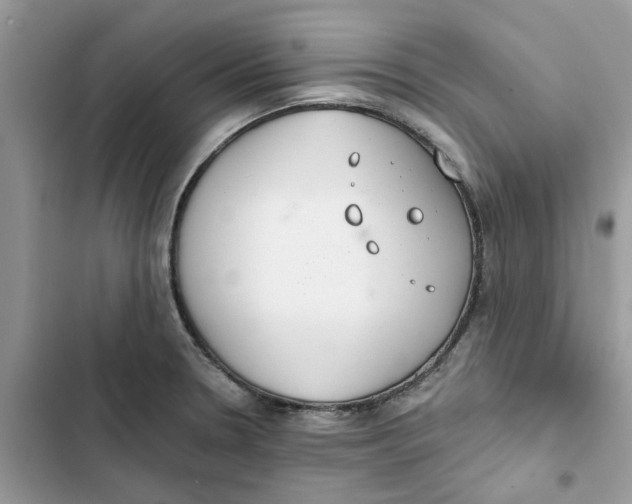 X0000103281330200809191757