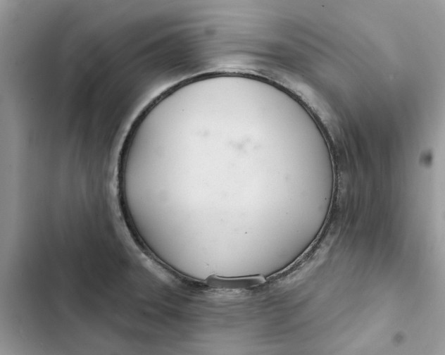 X0000103281331200809191757