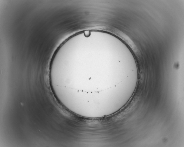 X0000103281332200809191757