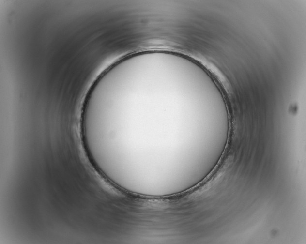 X0000103281333200809191757