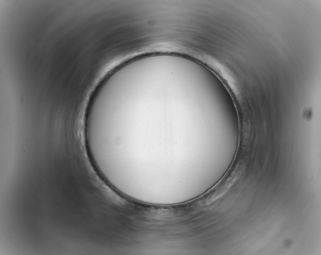 X0000103281334200809191757