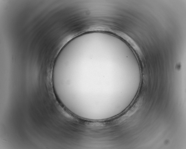 X0000103281337200809191757