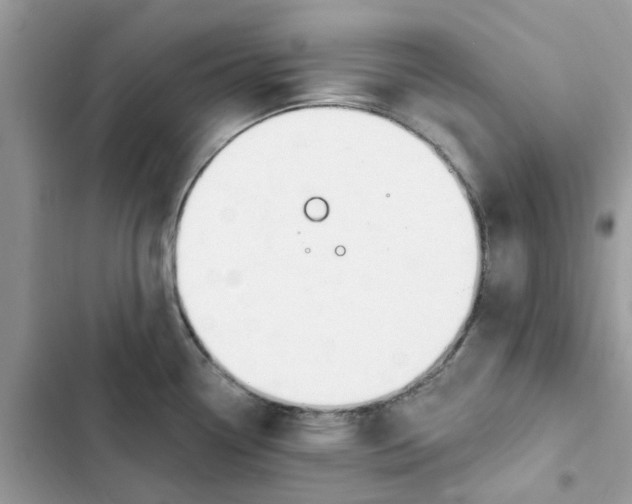 X0000103281338200809191757