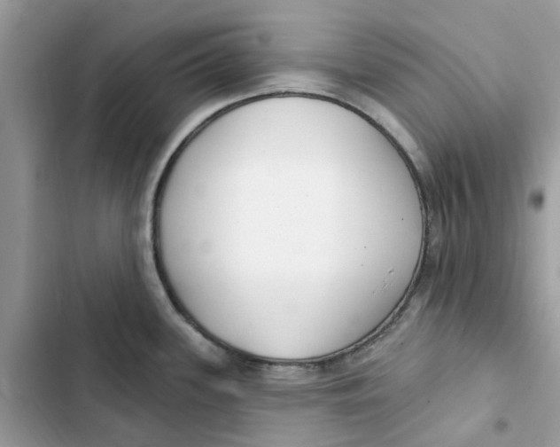 X0000103281339200809191757