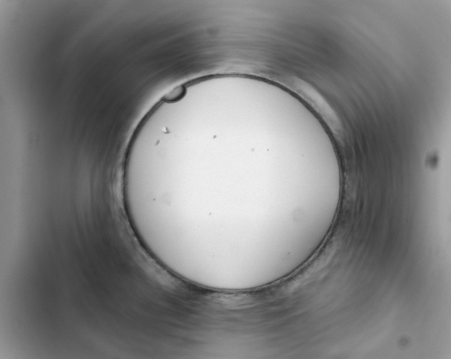 X0000103281340200809191757