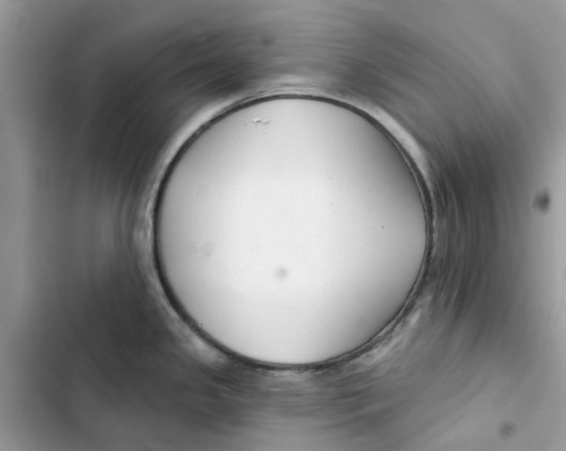 X0000103281341200809191757