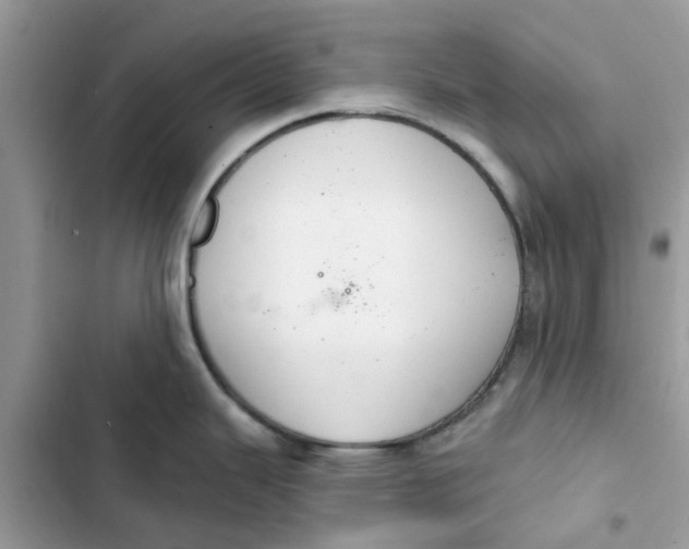 X0000103281343200809191757