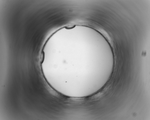 X0000103281344200809191757