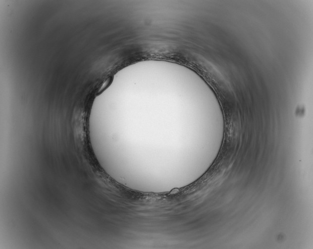 X0000103281346200809191756