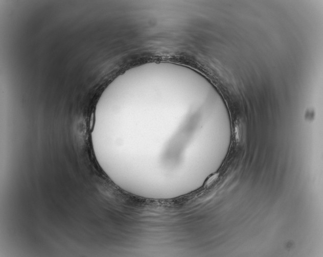 X0000103281347200809191756