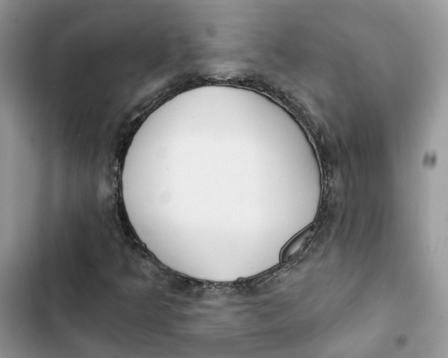 X0000103281349200809191756