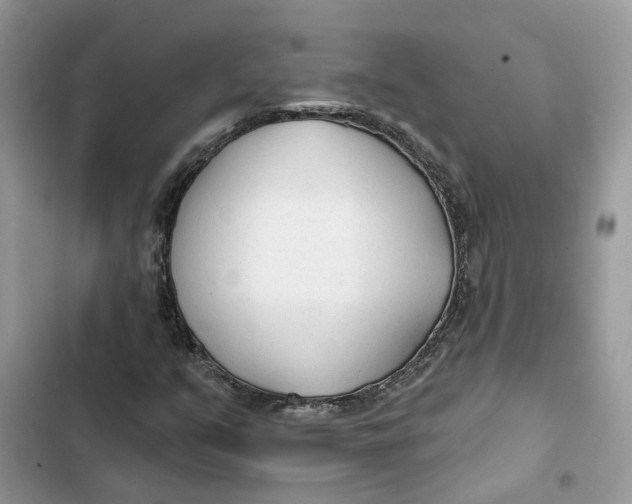 X0000103281351200809191756