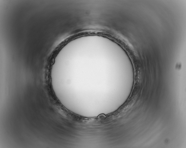 X0000103281352200809191756