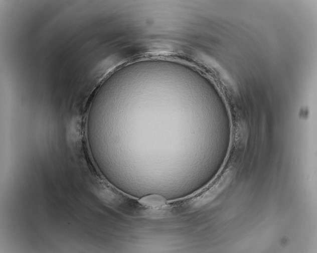 X0000103281353200809191756