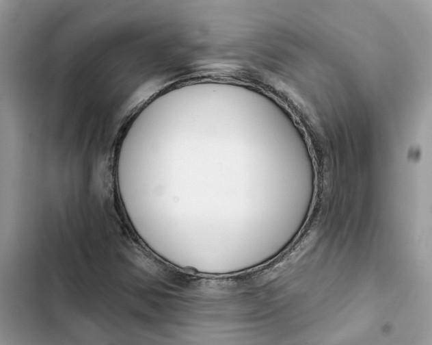 X0000103281354200809191756