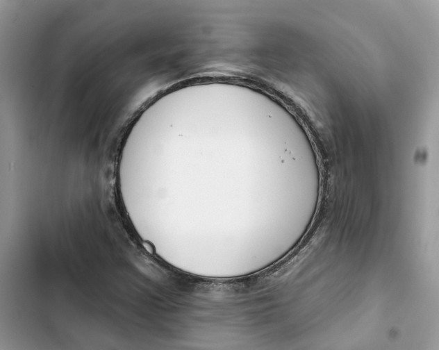 X0000103281355200809191756