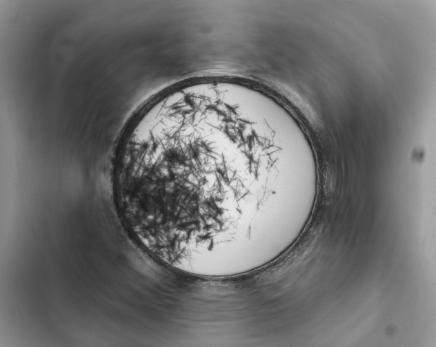 X0000103281356200809191756