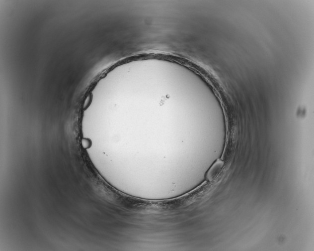 X0000103281359200809191756