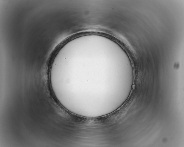 X0000103281360200809191756