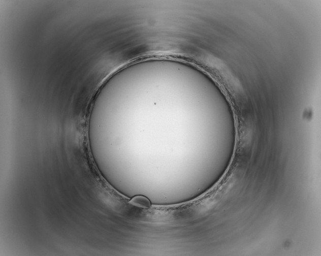 X0000103281361200809191756