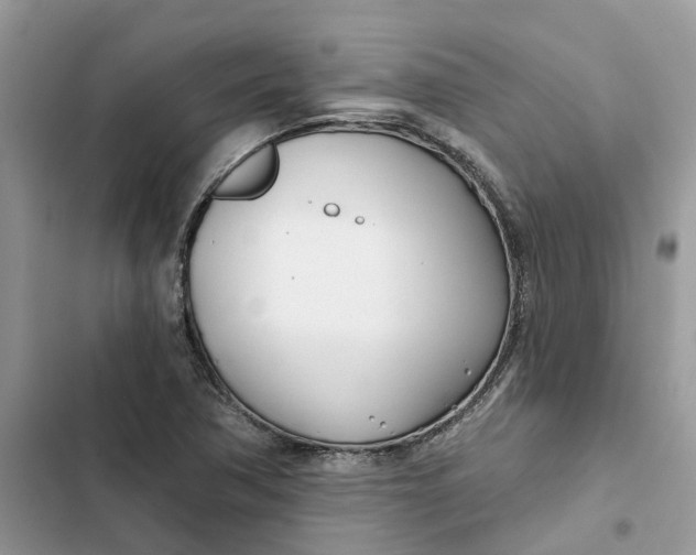 X0000103281362200809191756