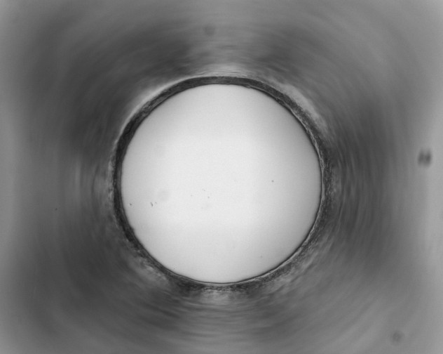 X0000103281364200809191756