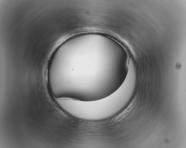 X0000103281365200809191756