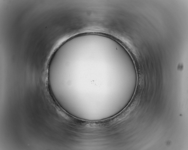 X0000103281366200809191756