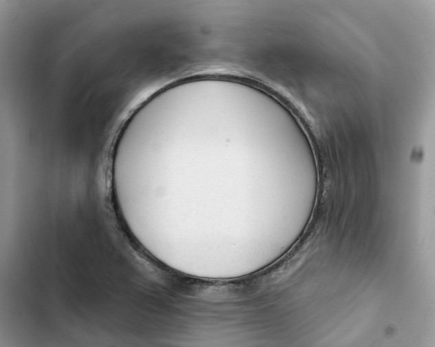 X0000103281367200809191756