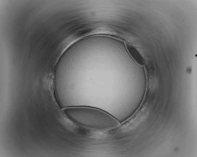 X0000103281369200809191756