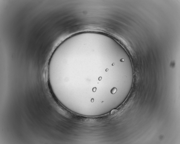 X0000103281371200809191756