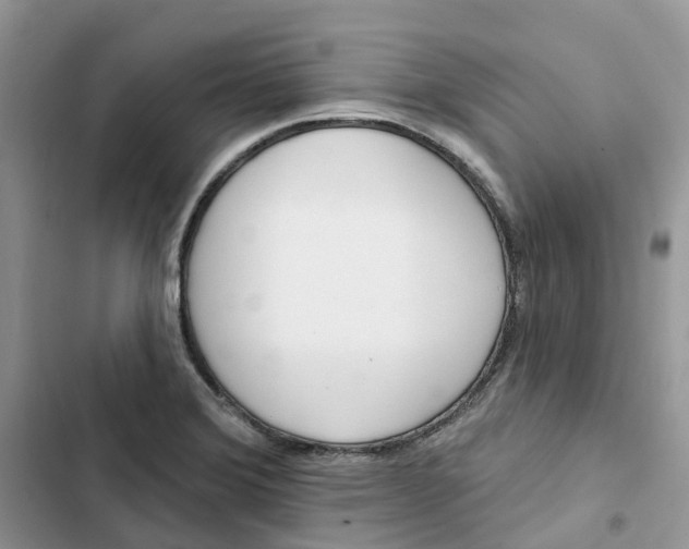 X0000103281372200809191756