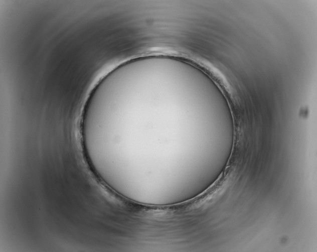 X0000103281373200809191756