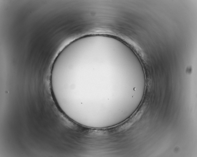 X0000103281374200809191756